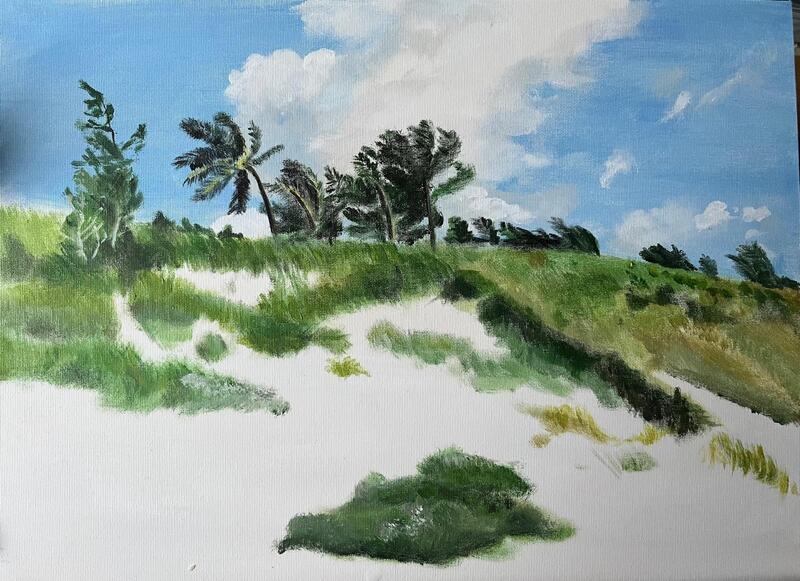 Duinlandschap Bahama's